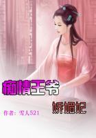 痴情王爷绝色妃