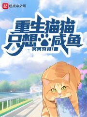 主角重生猫的现代