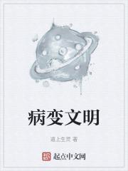 文明病什么意思