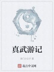 真武是什么游戏