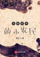 大时代的小农民起点中文网