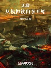 无敌从模拟铁山拳开始