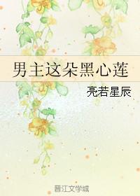 男主这朵黑心莲花女尊