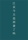 江采今天追到妻了吗 笔趣阁