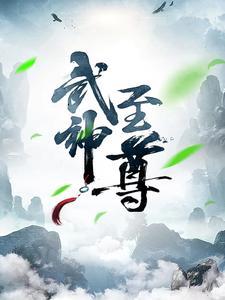 武神至尊叶风叶紫灵全文阅读