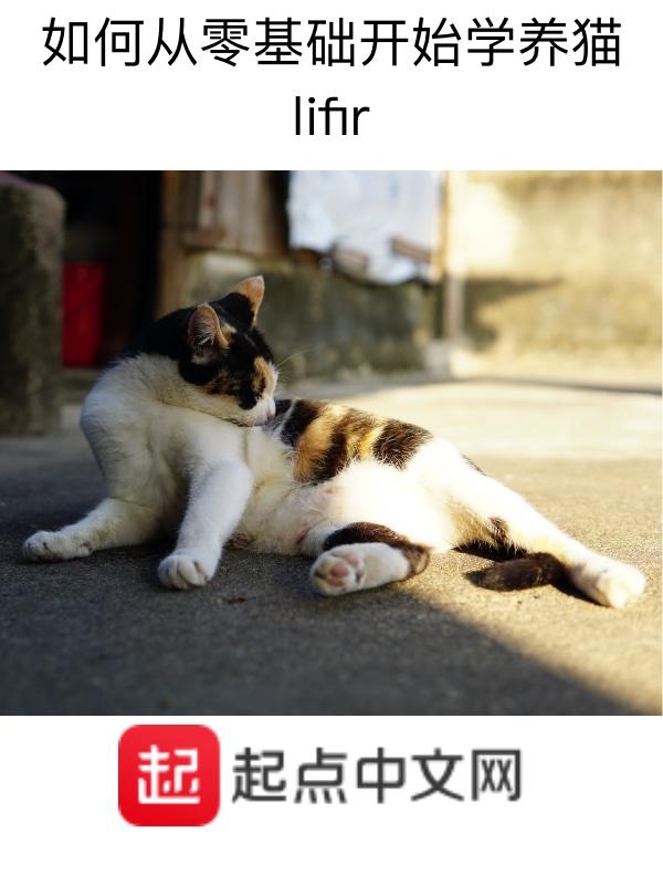 如何从零基础开始学养猫 lifir