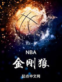 nba金刚狼精校版TXT