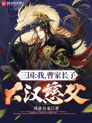 三国之曹家长子大汉慈父笔趣阁