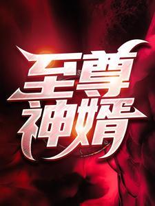 至尊神婿叶昊最新完结版