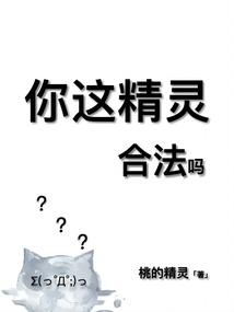 合法吗?全文免费阅读