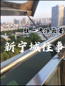 宁城最新案件