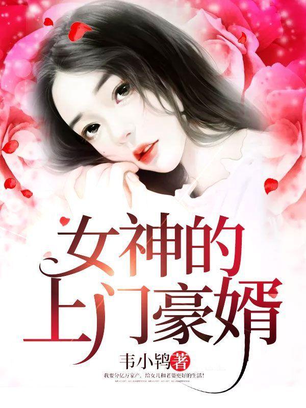 女神的上门豪婿完整版