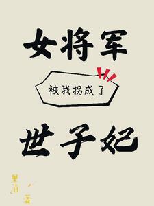 女将军被抓