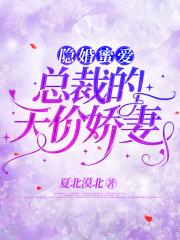 隐婚蜜爱总裁的天价宝贝漫画