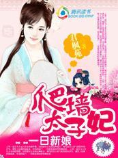 一夜新娘逃婚太子妃完整版