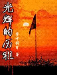 光辉的历程读后感2000字