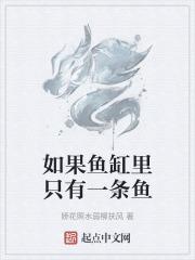 鱼缸中一条鱼也没有可以用什么表示