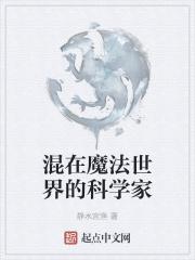 在魔法世界发展科技的